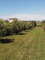 Вила във Фанари Родопи