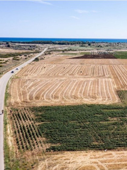 Парцел в Имерос Родопис