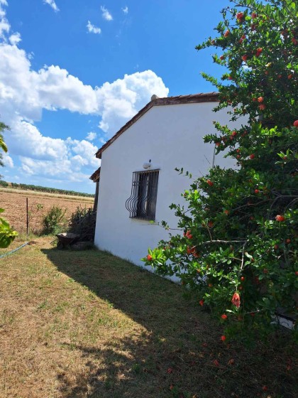 Селска къща в Гликонери Родопис