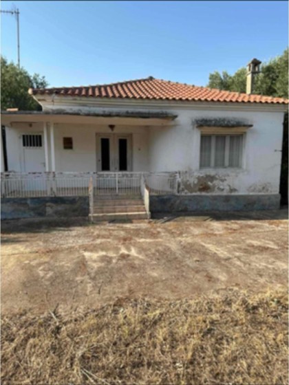 Самостоятелна къща в Диони Родопи