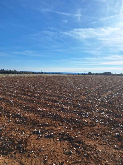 Парцел в кв. Пророк Илия в Северни Родопи