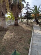 Мезонет в Александруполи, Чили