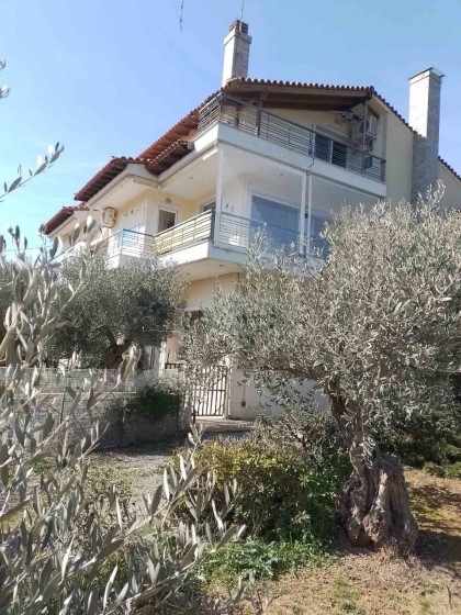 Мезонет в Александруполи, Чили