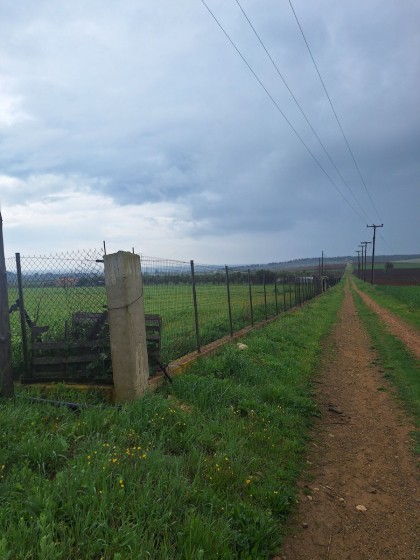 Парцел в Крьонери Родопис 6000 кв. м