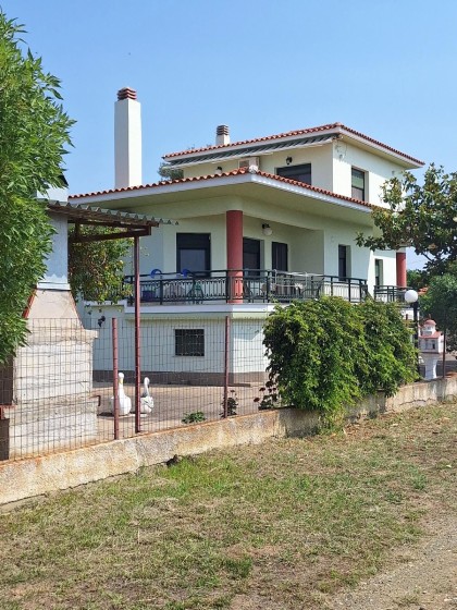 Мезонет в Профити Илиас Н Родопис