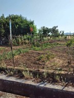 Самостоятелни къщи в Чамило, Родопи