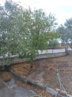 Самостоятелна къща в крайбрежната зона на Имеро