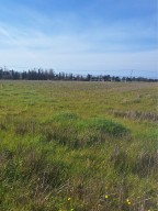 Парцел в профити Илиас