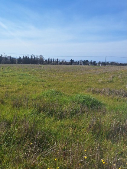 Парцел в профити Илиас