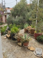 Самостоятелна къща в Проскините, Родопи