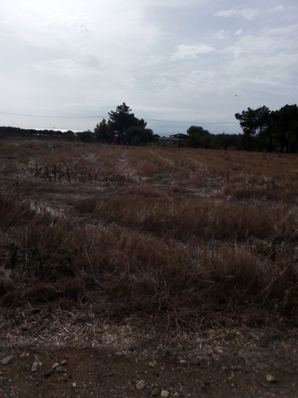 Парцел в Имерос Родопис