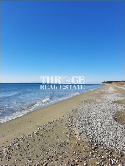 Нива в Ароги Родопи