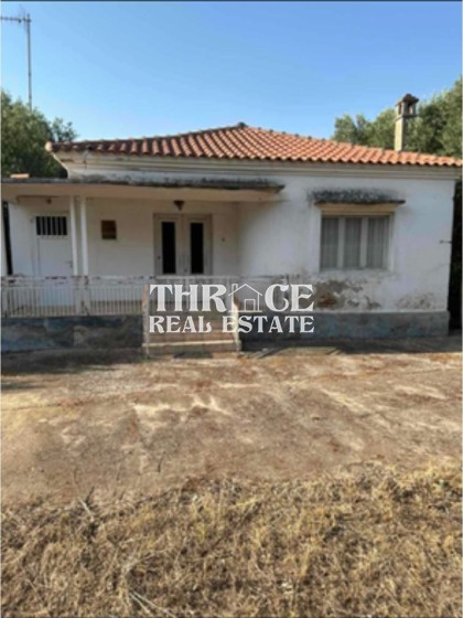 Самостоятелна къща в Диони Родопи