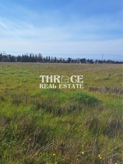 Парцел в профити Илиас