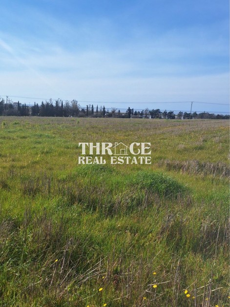 Парцел в профити Илиас