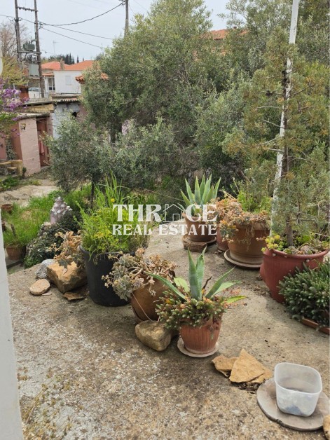 Самостоятелна къща в Проскините, Родопи